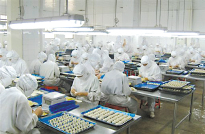 http://www.xiangyunzhg.com/